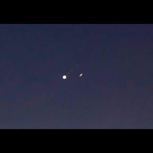 Meet your Posher, Maya